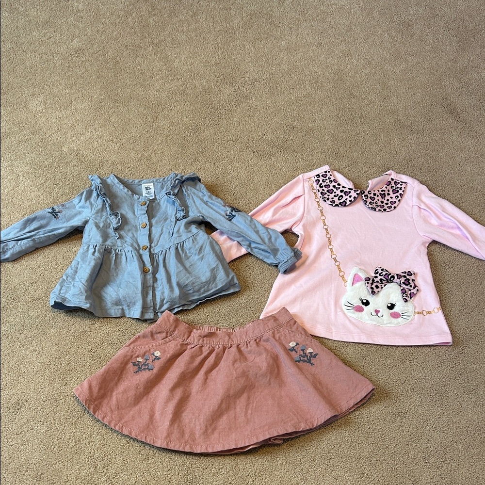 Toddler Girls 12-18 month Set